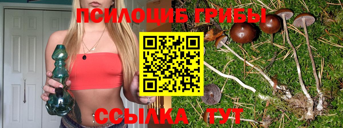 Галлюциногенные грибы Magic Shrooms  Вход с VPN  Назрань  Псилоцибиновые грибы мицелий 