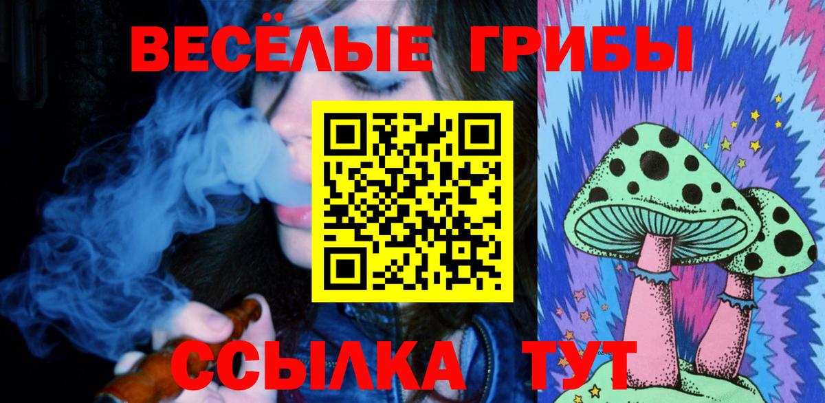 Галлюциногенные грибы мицелий Назрань